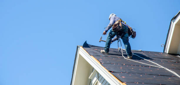 Best Gutter Installation and Roofing  in Rib Mountain, WI